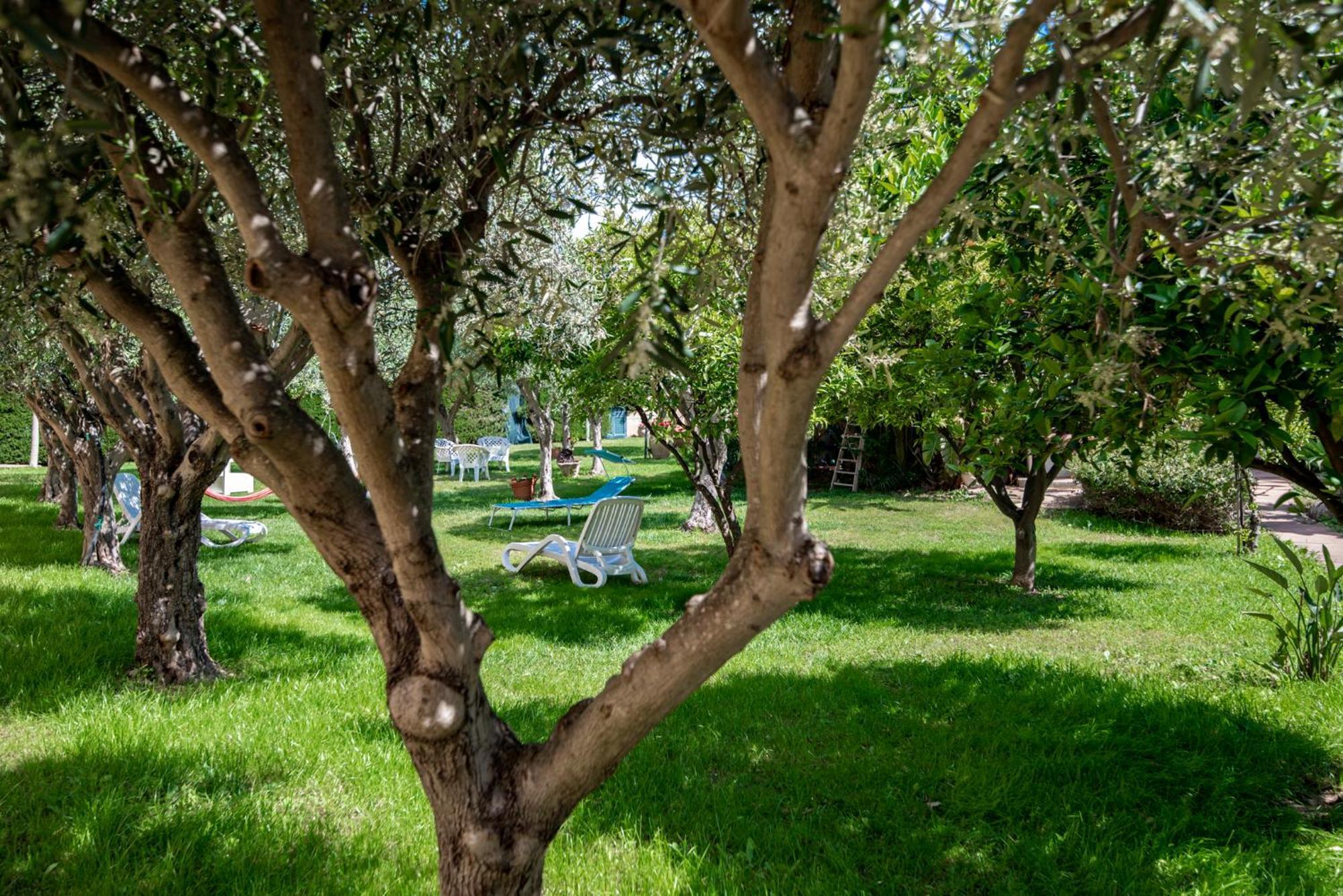 Villa Del Papiro Charme Apartments อาโวลา ภายนอก รูปภาพ
